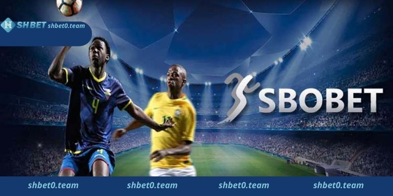 Lý do vì sao nên chọn Shbet để tham gia đặt cược SBOBET